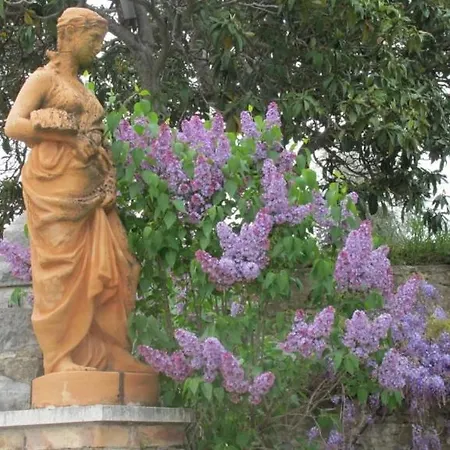 La Casaccia Guelfi Farm stay *
